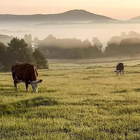 Amazing In * Spytkowice (Nowy Targ)