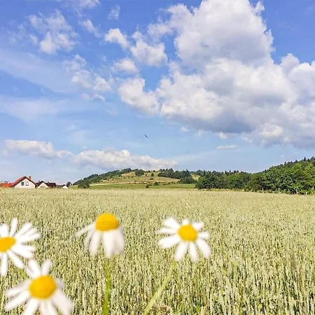 Amazing In Spytkowice (Nowy Targ)