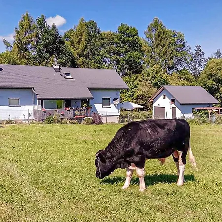 Pet Friendly In Daire *